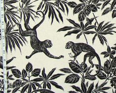 an image of monkeys in the jungle on white background with black leaves and branches,