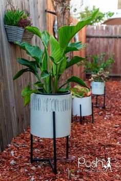 three planters with plants in them on the ground