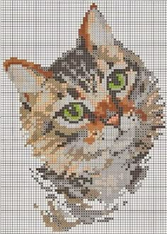 a cross stitch picture of a cat with green eyes