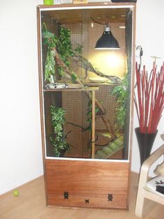 a bird cage with plants in it on top of a wooden shelf next to a lamp