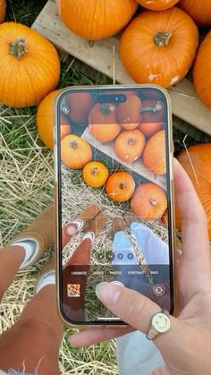 someone holding up their phone to take a picture of pumpkins in the field with them