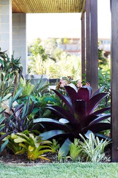 an outdoor area with various plants and flowers