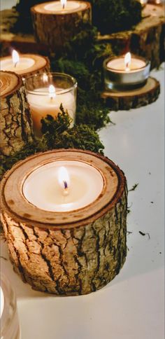 several candles are lit in front of some moss and wood slices on the table top