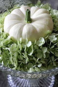 a white pumpkin sitting on top of a glass bowl filled with green leaves and greenery