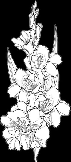 a bouquet of flowers on a white background with black and white line art, hand drawn