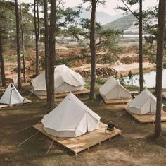 several tents are set up in the woods