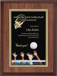 an award plaque with two hands reaching for a volleyball ball in front of the frame