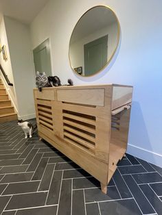 a cat is sitting on the floor next to a dresser