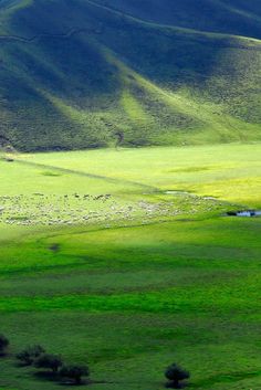 an open field with green grass and mountains in the background