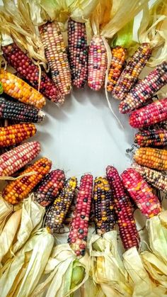 an arrangement of colorful corn arranged in a circle on top of leaves and dried flowers