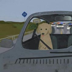 a dog is sitting in the driver's seat of a car while police cars drive by