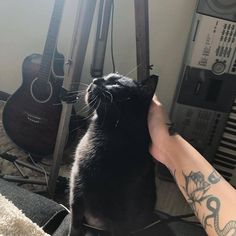 a black cat sitting on top of a person's arm