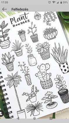 a notebook with plants drawn on it