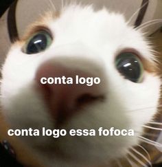 a close up of a cat's face with the words conta logo above it