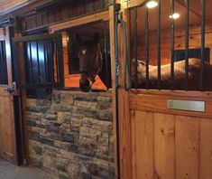 there is a horse in the stable looking out from behind the gate and into the stall