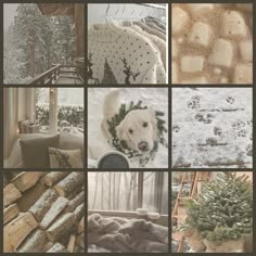 a collage of photos with snow and dog in the middle one has a sweater on