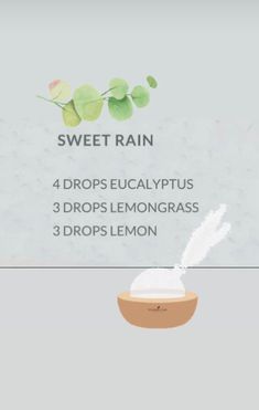 Rain Diffuser Blend, Rain Diffuser, Rain Room, Eucalyptus And Lavender