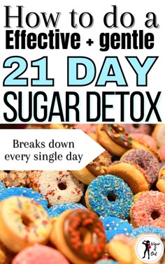 Sugar Diet Plan, Sugar Detox Plan, Protein Diet Plan, 21 Day Sugar Detox, Meal Plan Keto