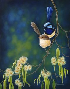 a painting of a blue bird perched on a branch with white flowers in the foreground