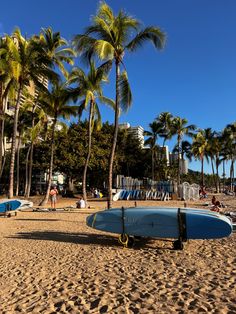 two surfboards sitting on top of a sandy beach next to palm trees and people