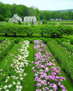 the garden is full of flowers and trees