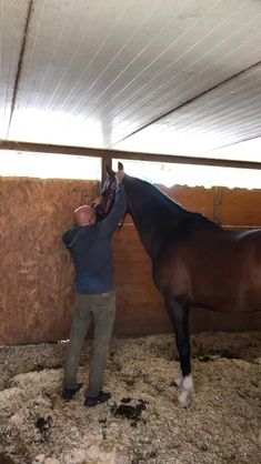 a man standing next to a brown horse inside of a barn on top of dry grass