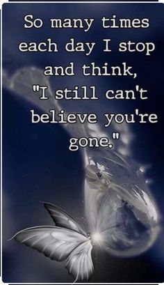 a butterfly flying through the air with a quote below it that says, so many times each day i stop and think i still can't believe you're gone