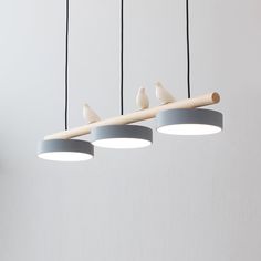 three birds are sitting on top of the light fixture in this minimalist style room