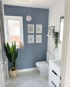 a white toilet sitting next to a bathroom sink under a window in a blue wall