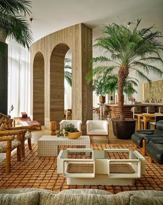 a living room filled with lots of furniture next to a tall palm tree in the corner