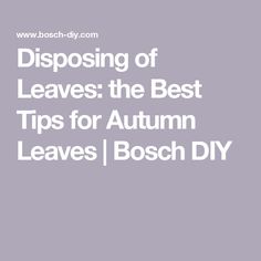 the words disposing of leaves the best tips for autumn leaves / boschh diy