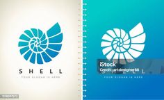 two spiral notebooks, one with an image of a shell and the other with a logo