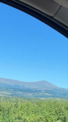 Fake snap, mountain, view, cool view, field Carpathian Mountains, Summer Harvest, Health Center, Nature Conservation, Natural Life, Mountain Top, Growing Herbs, Natural Phenomena, Medicinal Herbs