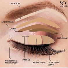 From curling to mascara application, learn how to enhance your eyes for a stunning look. Quick Eye Makeup Tutorial, Makeup Theory, Face Makeup Guide, Makeup Learning, Green Eyes Wedding Makeup, Eyeshadow Guide, Learning Makeup, Oval Face Makeup, Kosmetyki Mary Kay