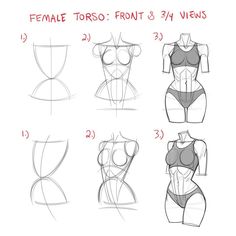 how to draw female torsos with different angles and body shapes for each woman's body