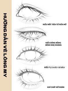 how to draw anime eyes step by step instructions for beginners and advanced drawing students