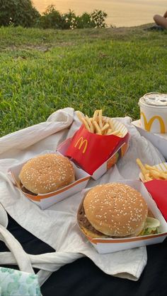 two hamburgers and fries are sitting on a picnic blanket in the grass next to a drink