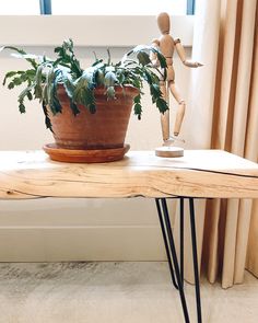 a potted plant sitting on top of a wooden table next to a small statue