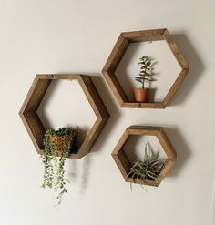 three wooden hexagonal shelves with plants on them hanging from the wall next to each other