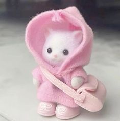 a small white cat in a pink outfit