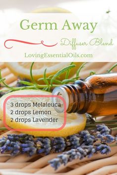 Germ Away Essential Oil Diffuser Blend | Antibacterial Essential Oils | Melaleuca Oil | Lemon Oil | Lavender Oil | Diffusing Oil Recipe | Aromatherapy | Clean the Air Melaleuca Essential Oil Blends, Essential Oils To Clean The Air Of Germs, Antibacterial Essential Oils, Doterra Diffuser Blends, Doterra Oil, Aromatherapy Recipes, Essential Oil Diffuser Recipes, Oil Diffuser Recipes, Essential Oil Blends Recipes