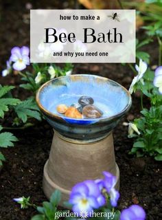 a blue bowl filled with rocks and water in the middle of some flowers, with text overlay reading how to make a bee bath and why you need one