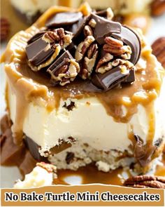 no bake turtle mini cheesecakes with pecans on top