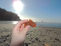 someone holding up a piece of food on the beach