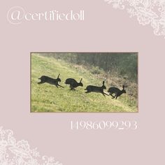 three dogs running in the grass together with an ornate border around them and words describing their names