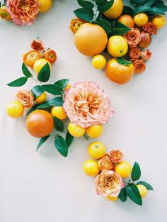 oranges and lemons are arranged on a white surface