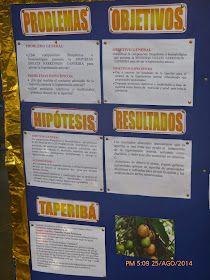 a bulletin board with information about the different types of fruits and vegetables that are in spanish