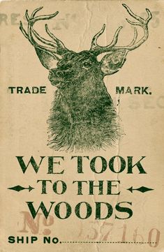 we took to the woods poster with an image of a deer's head on it