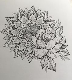 a black and white drawing of flowers with leaves on the bottom half of their petals