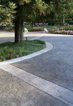 a tree in the middle of a park